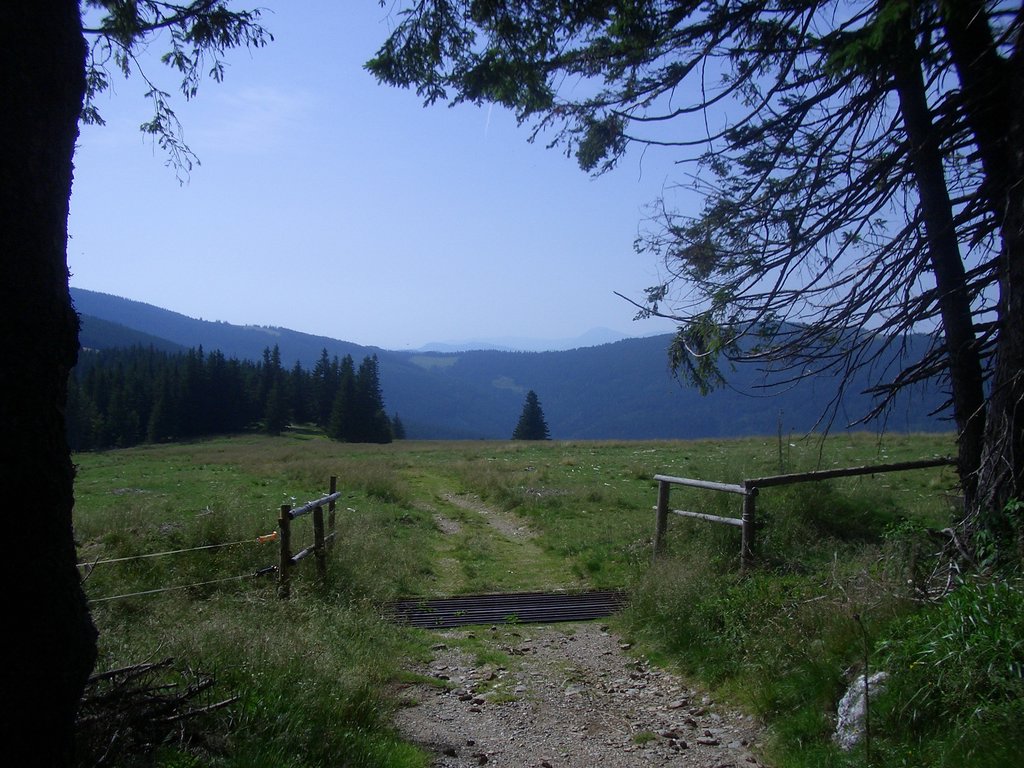 CIMG6474.JPG