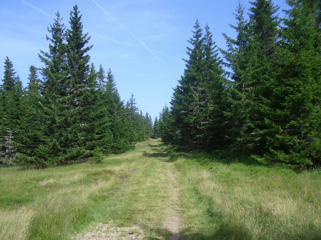 CIMG6478.JPG