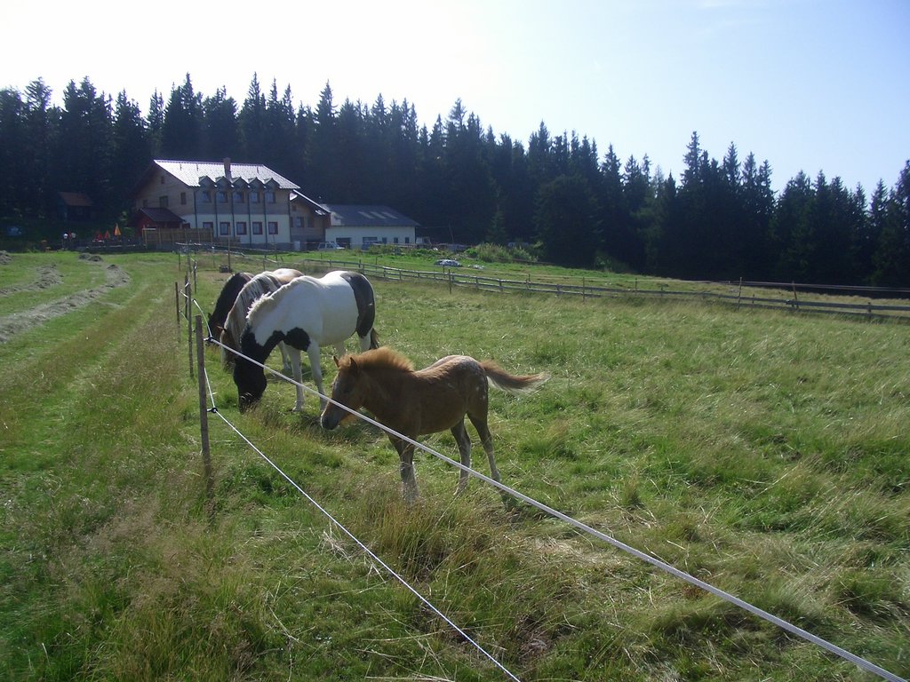 CIMG6484.JPG