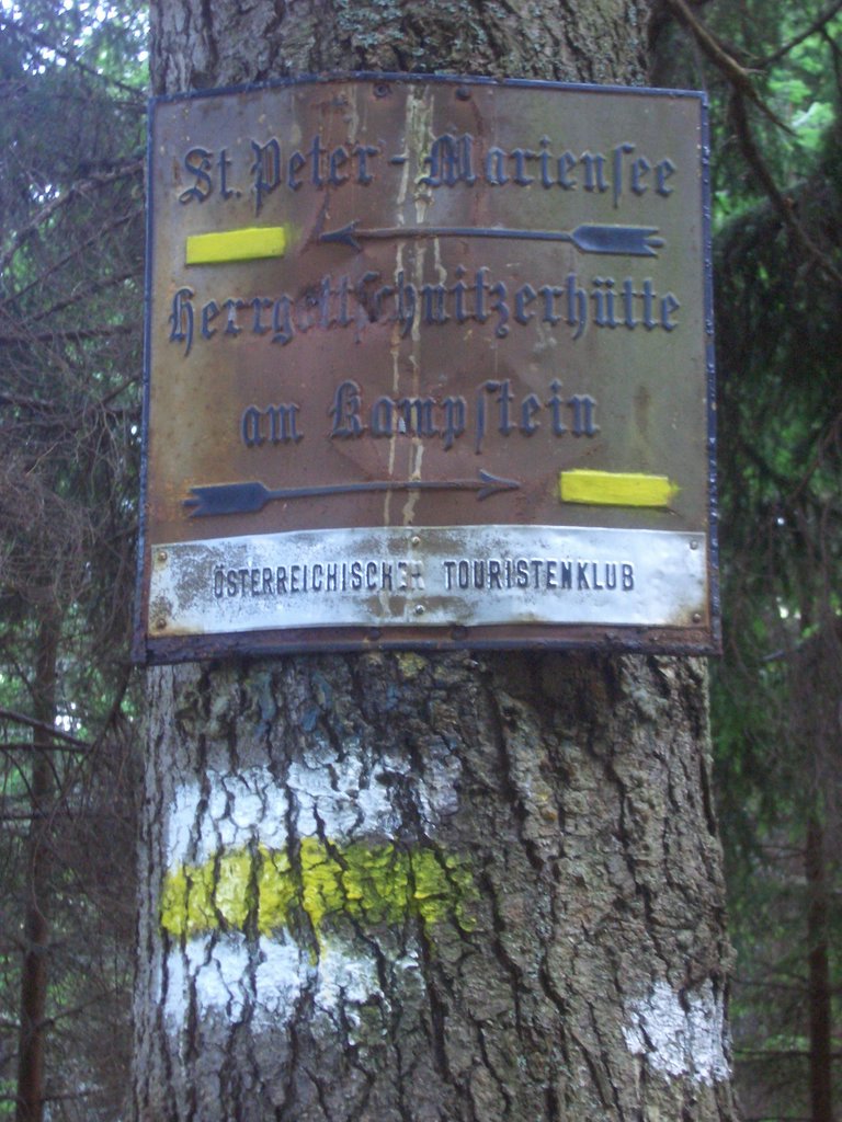 CIMG6492.JPG