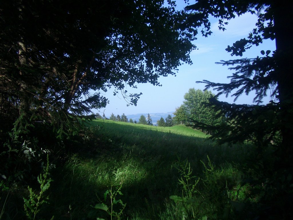 CIMG6494.JPG