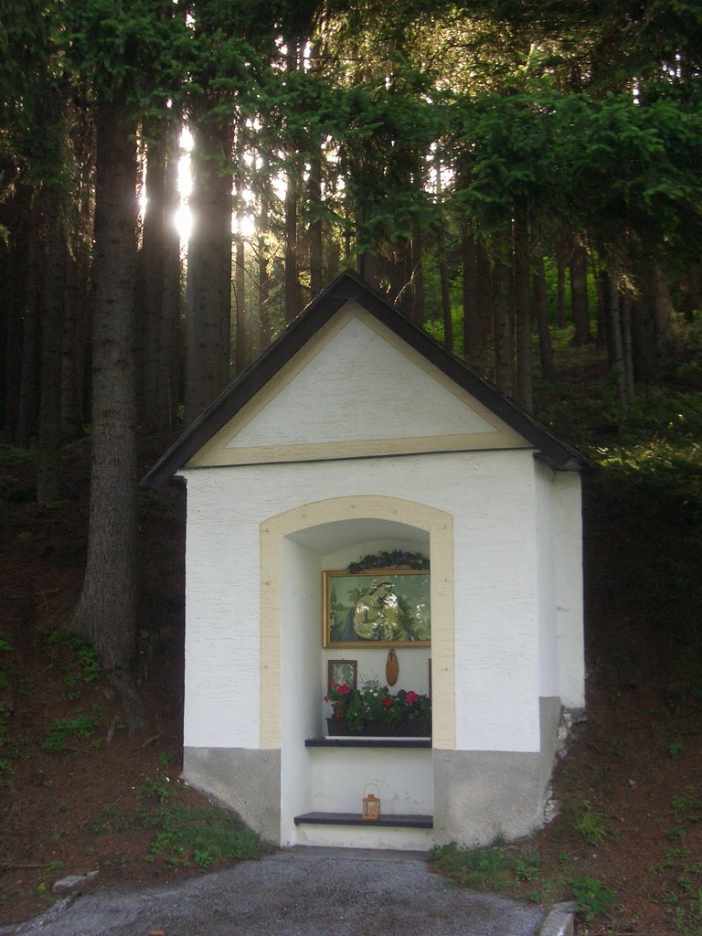 CIMG6504.JPG