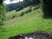 CIMG6356.JPG