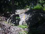 CIMG6391.JPG