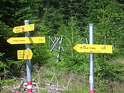 CIMG6395.JPG