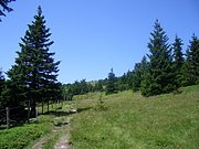 CIMG6396.JPG