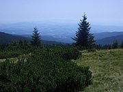 CIMG6398.JPG