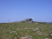 CIMG6402.JPG
