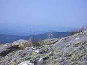 CIMG6409.JPG