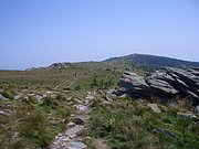CIMG6431.JPG