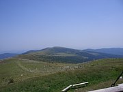 CIMG6437.JPG