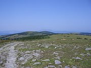 CIMG6447.JPG