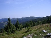 CIMG6451.JPG