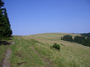 CIMG6454.JPG