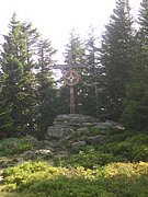 CIMG6488.JPG