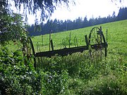 CIMG6493.JPG