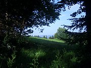 CIMG6494.JPG
