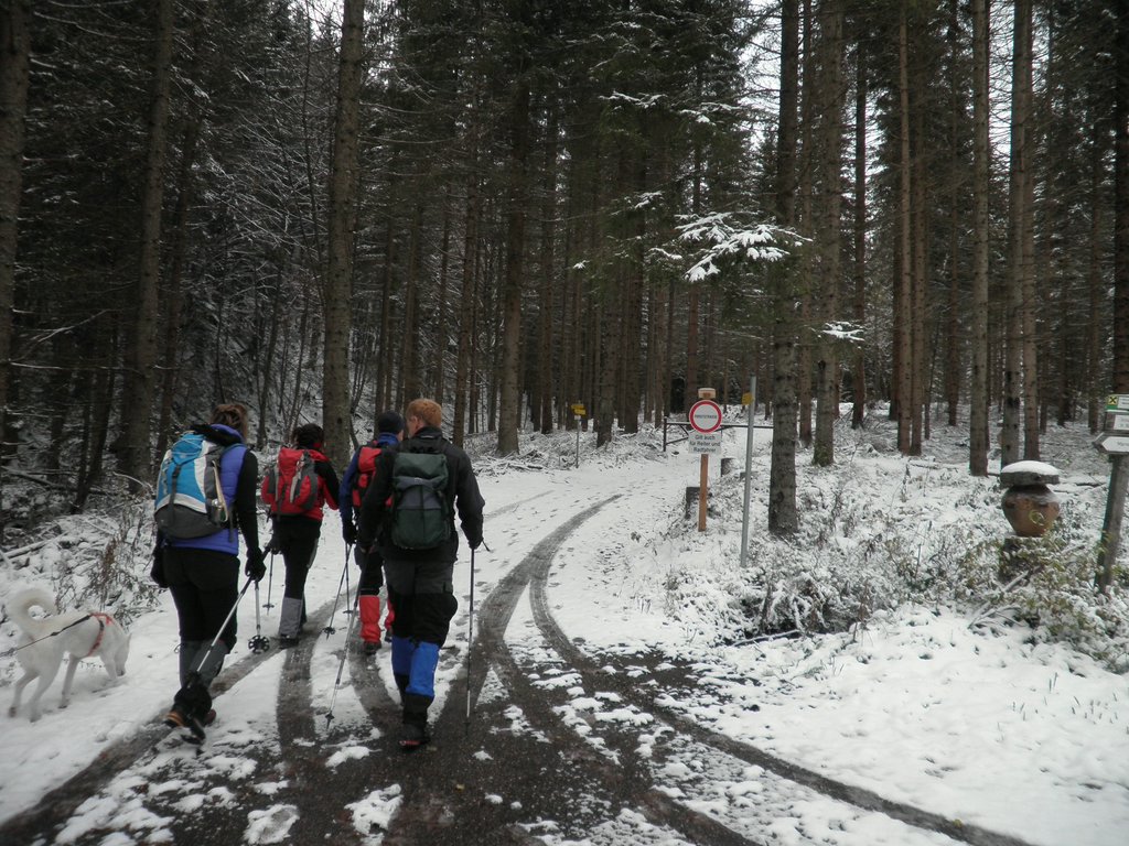 PA260052.JPG