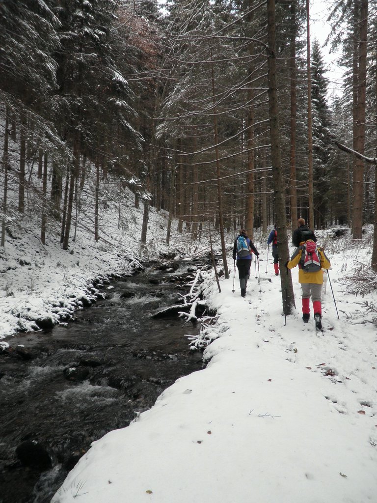 PA260056.JPG