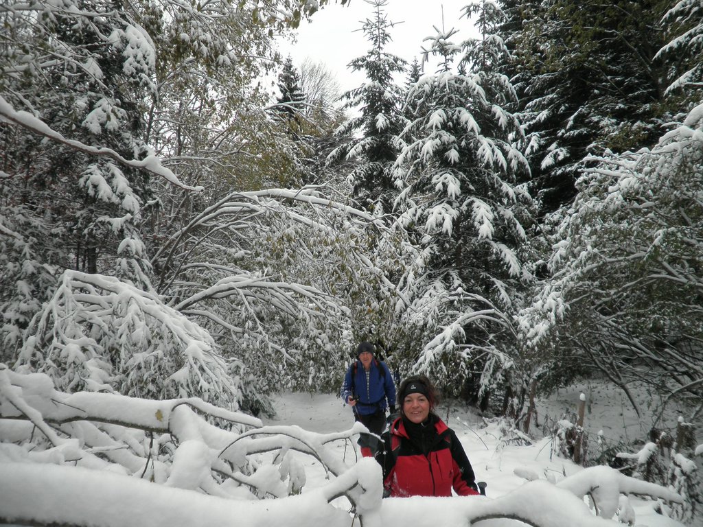 PA260059.JPG