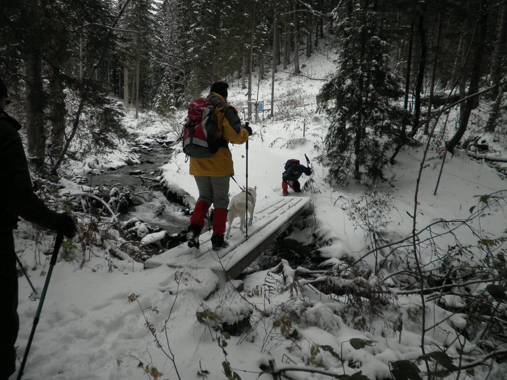 PA260062.JPG
