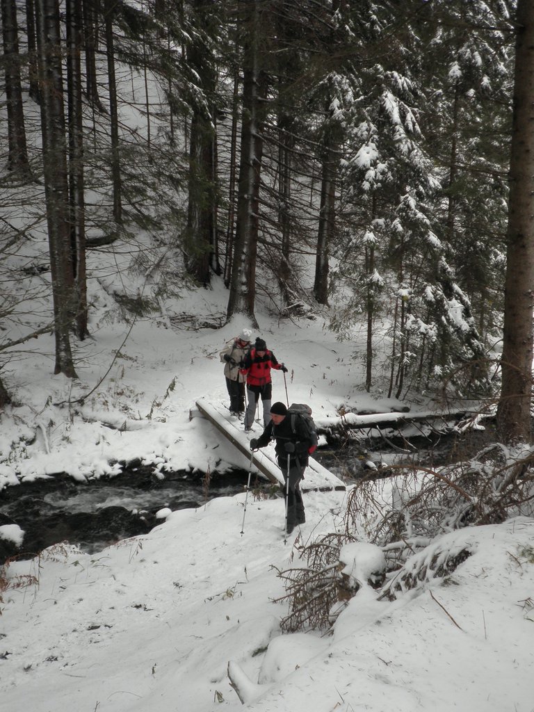 PA260066.JPG