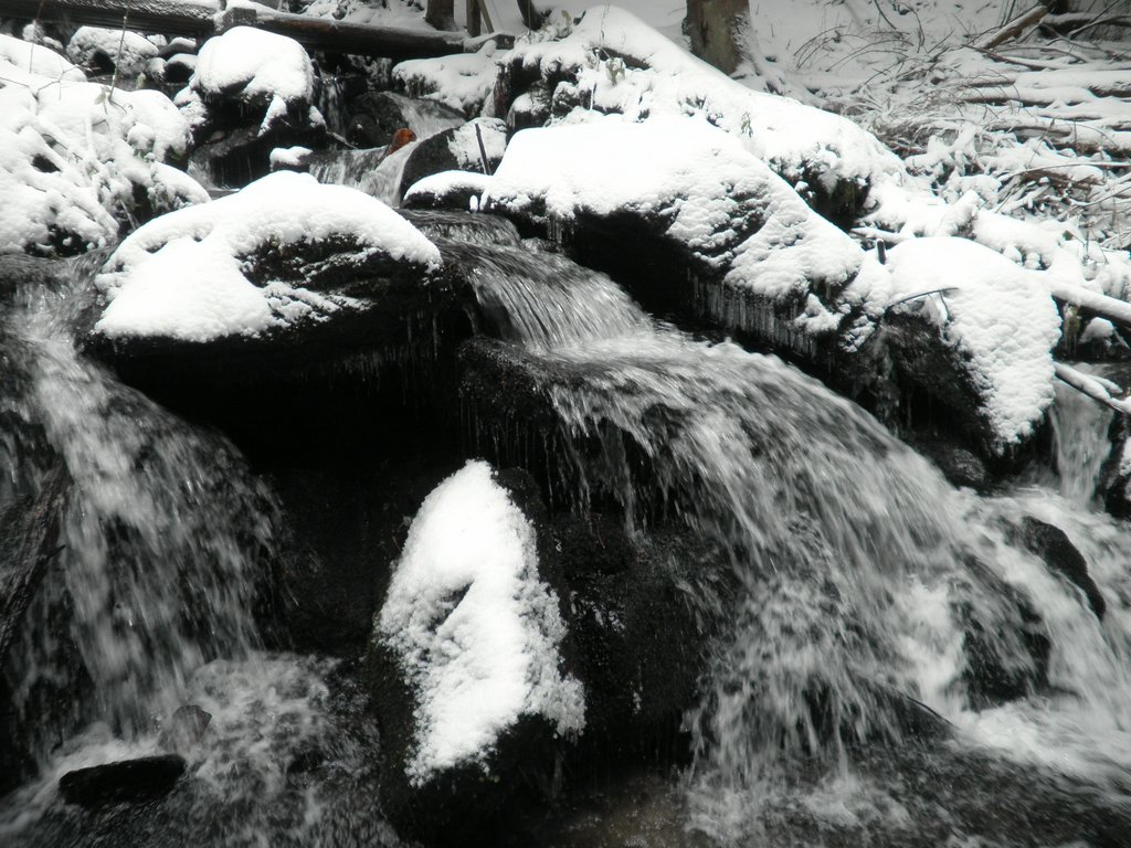 PA260070.JPG