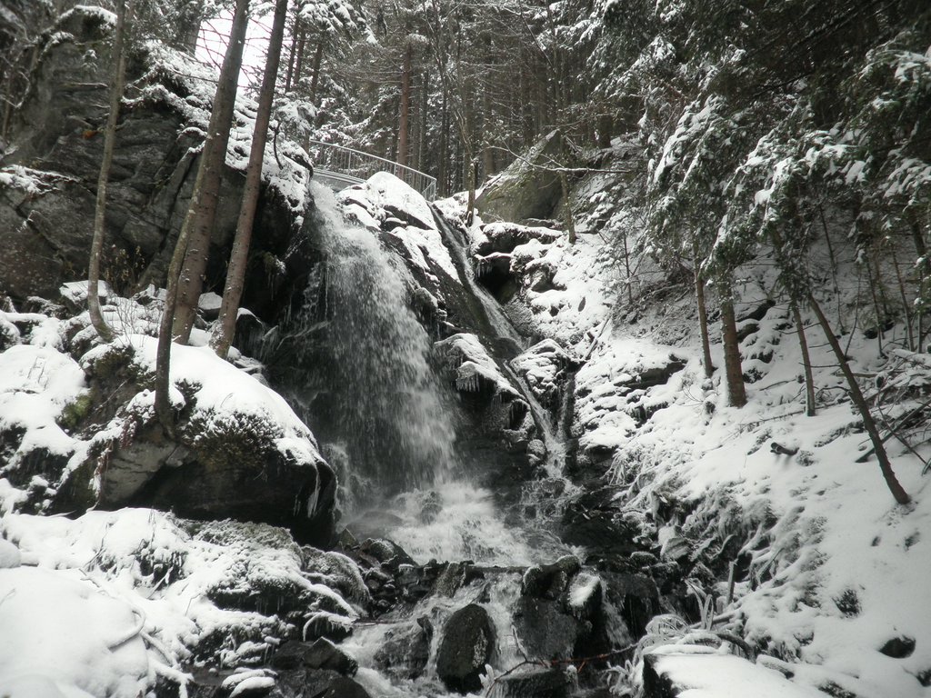 PA260072.JPG
