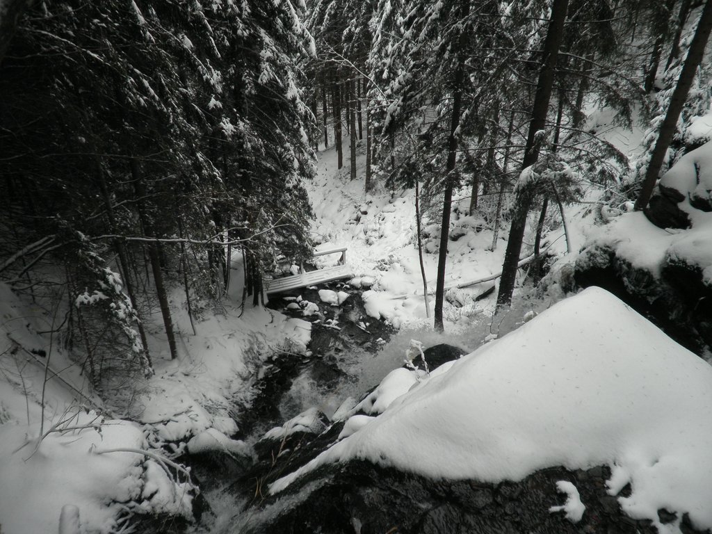 PA260079.JPG