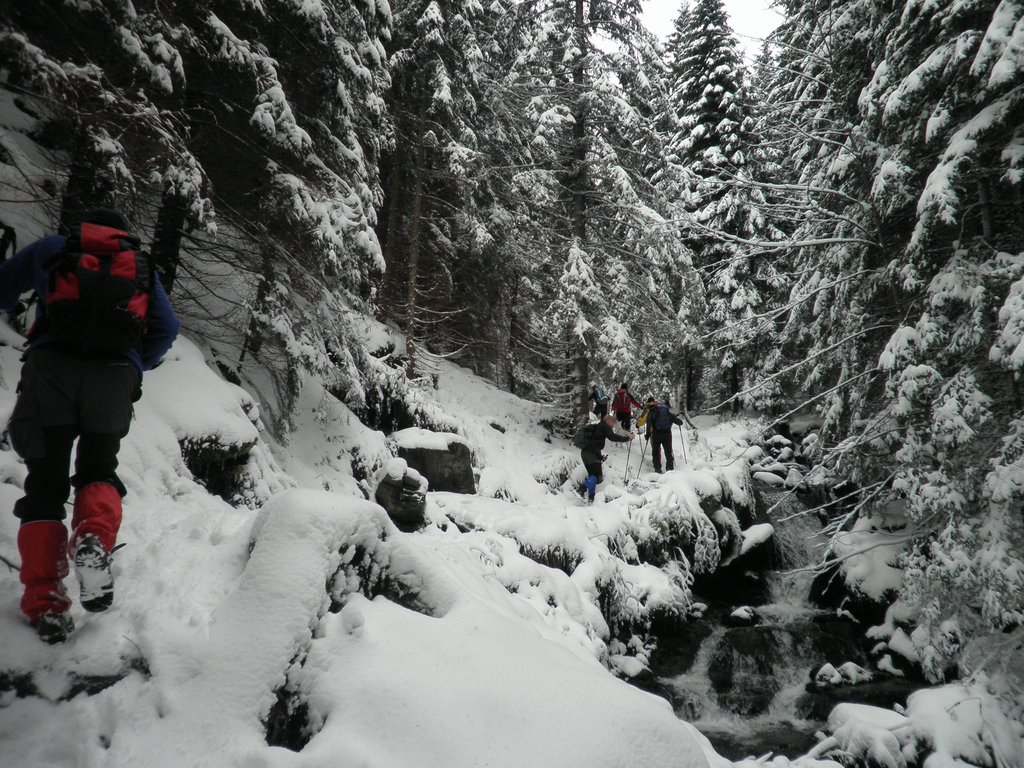 PA260083.JPG