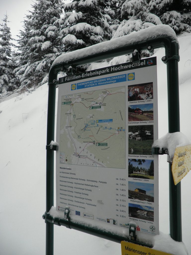 PA260088.JPG