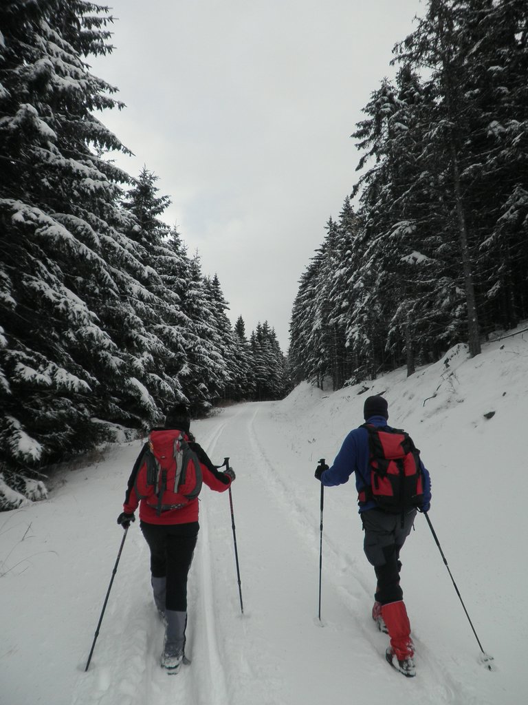 PA260090.JPG