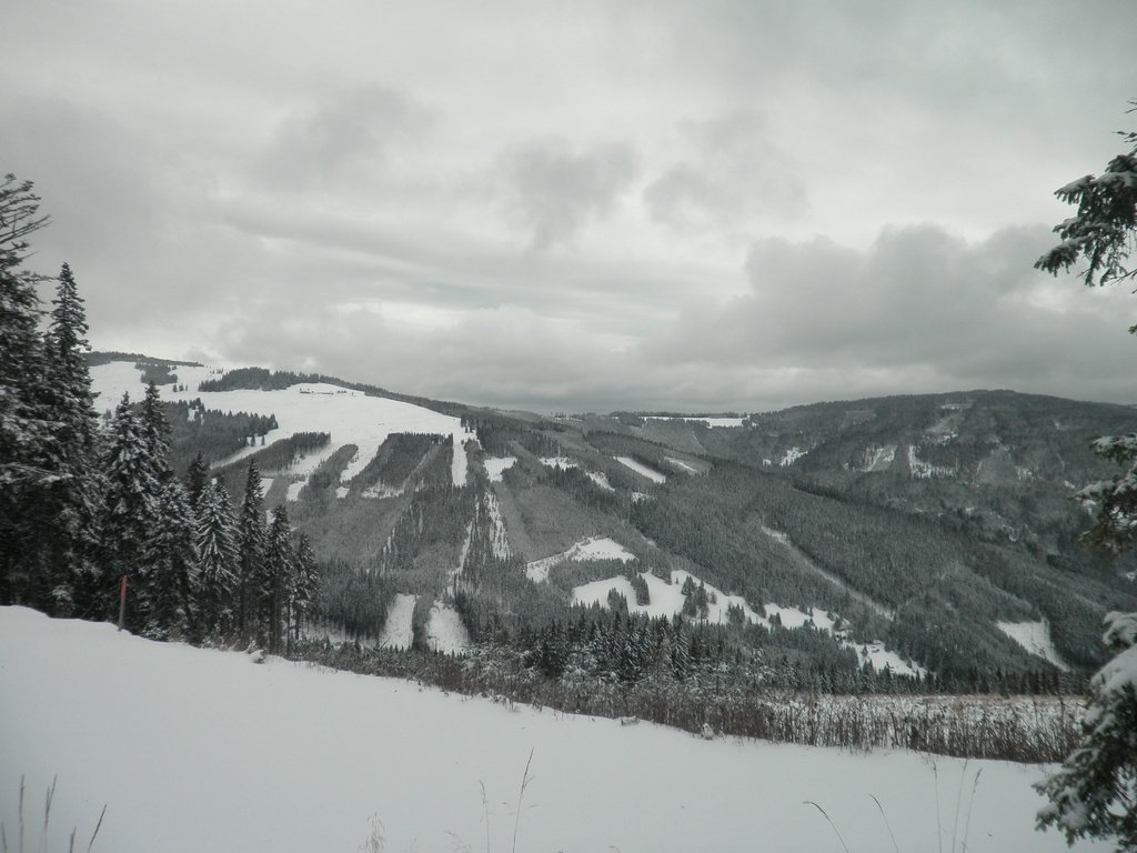 PA260091.JPG