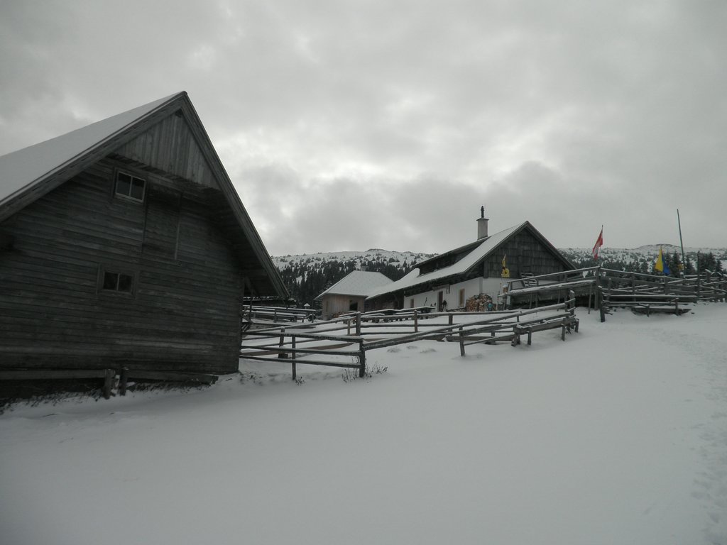 PA260095.JPG