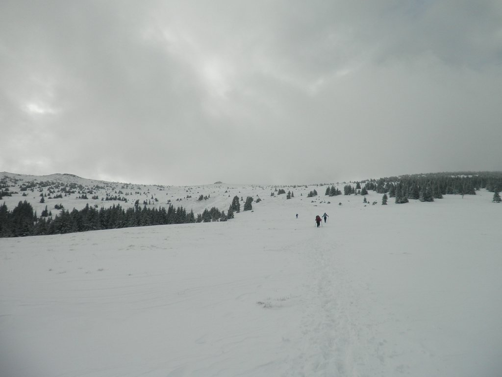 PA260098.JPG
