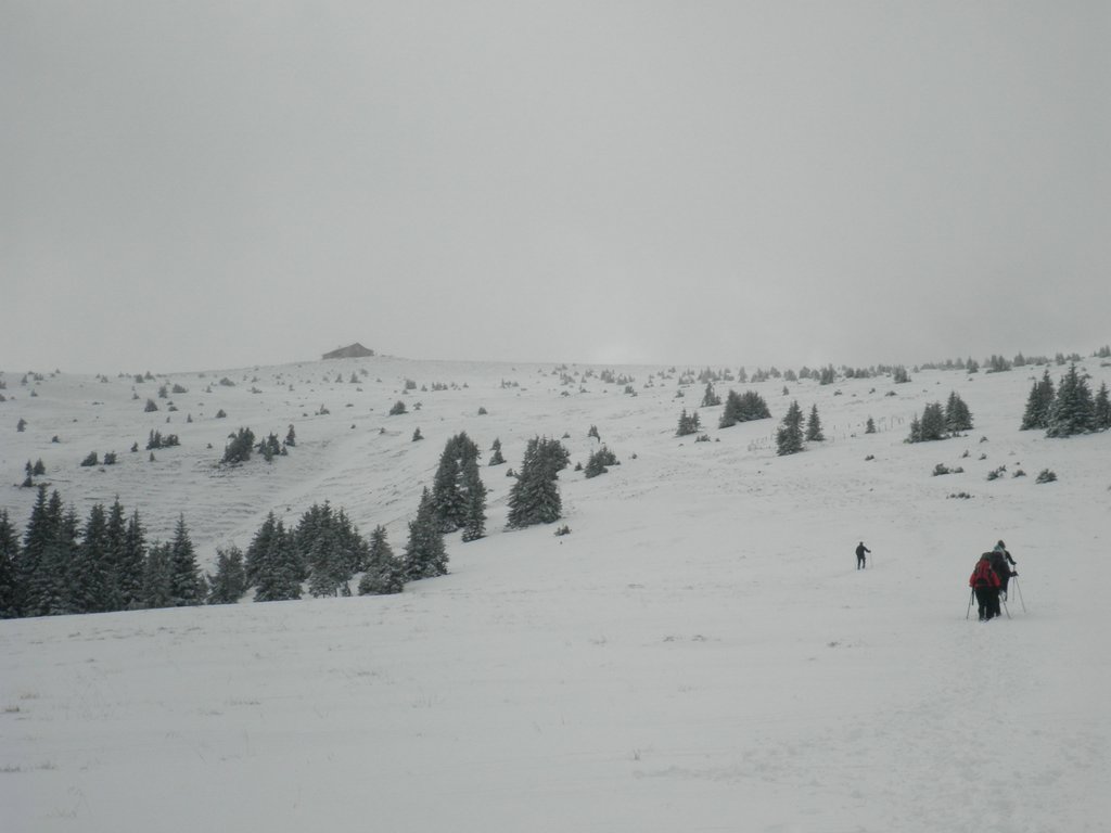 PA260099.JPG