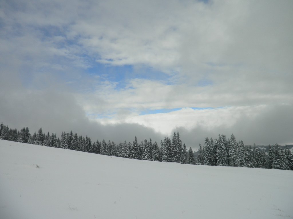 PA260103.JPG