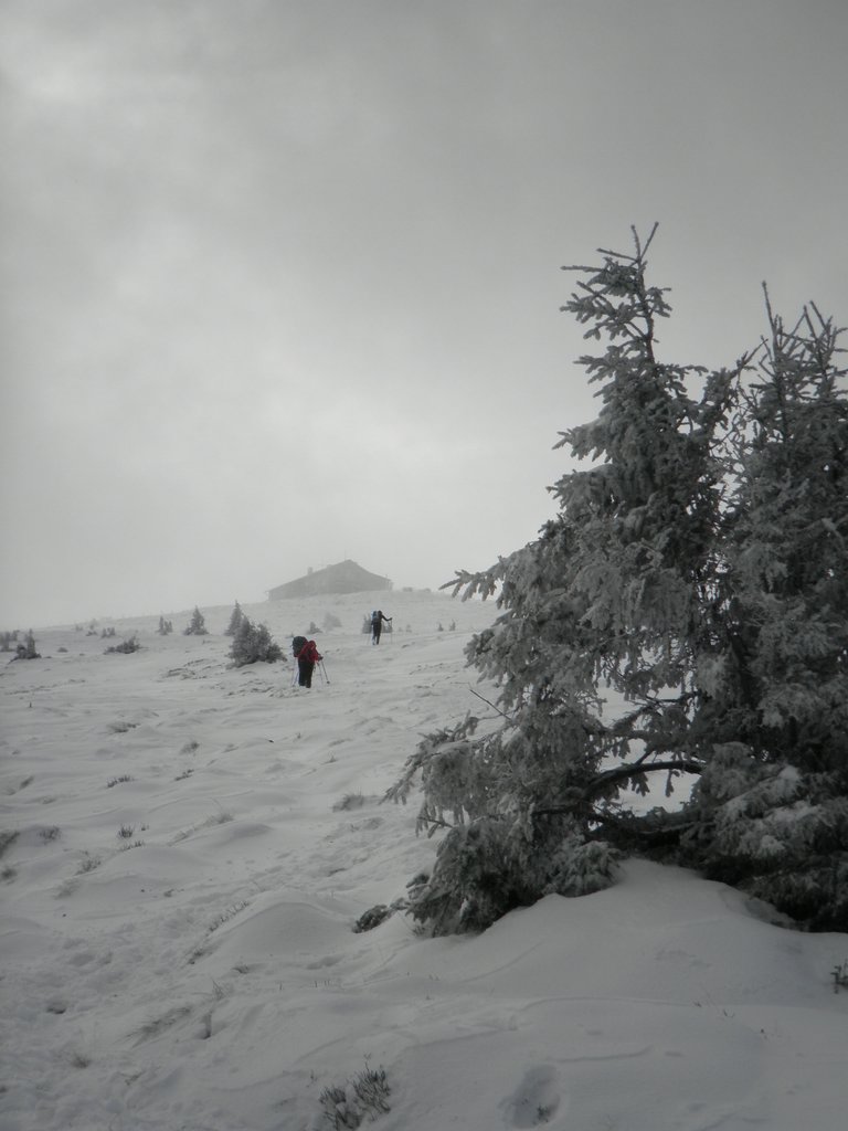 PA260104.JPG