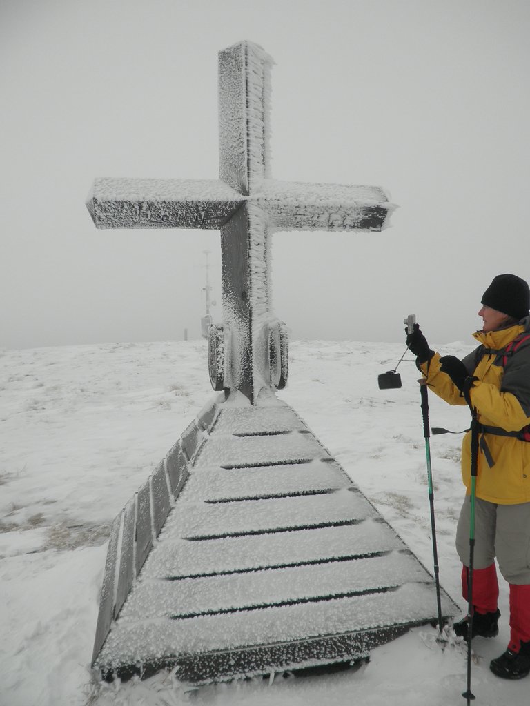 PA260136.JPG