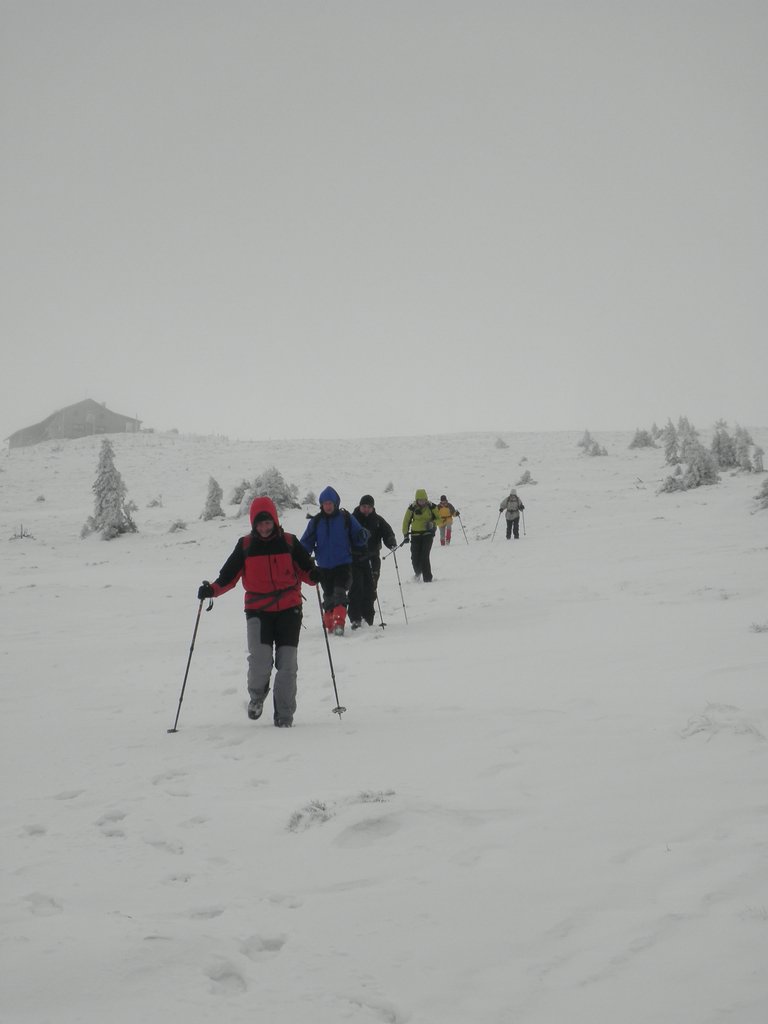 PA260137.JPG