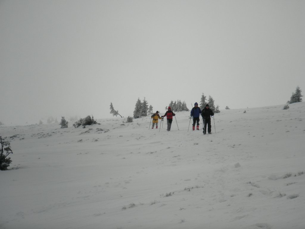 PA260139.JPG