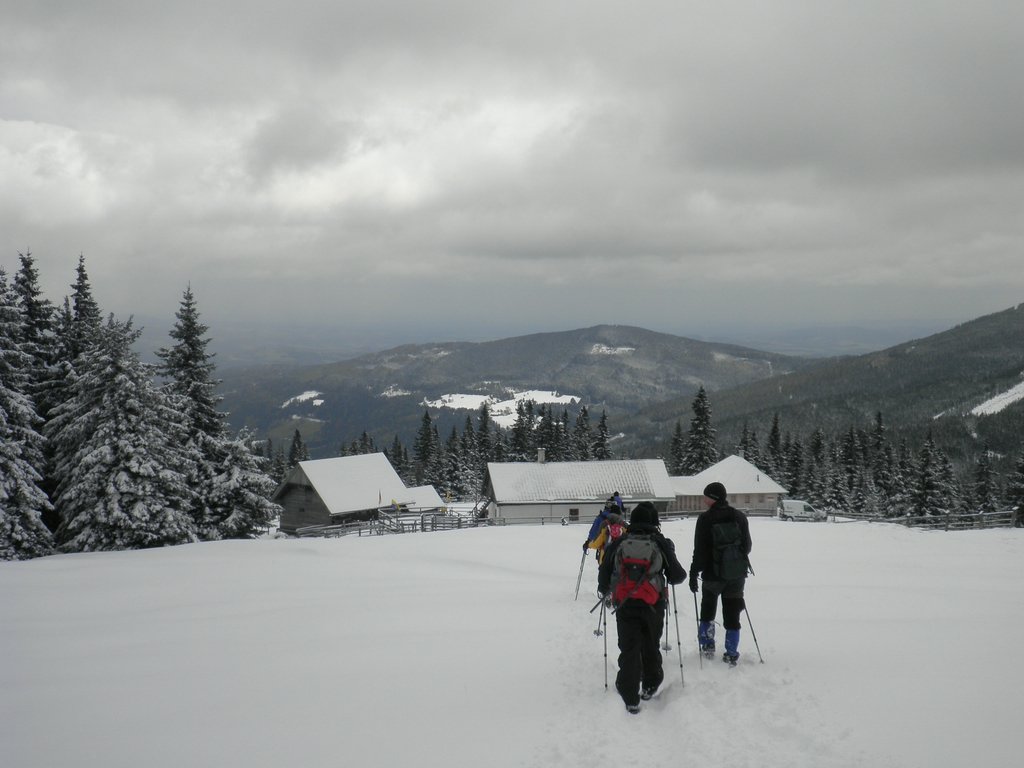 PA260142.JPG