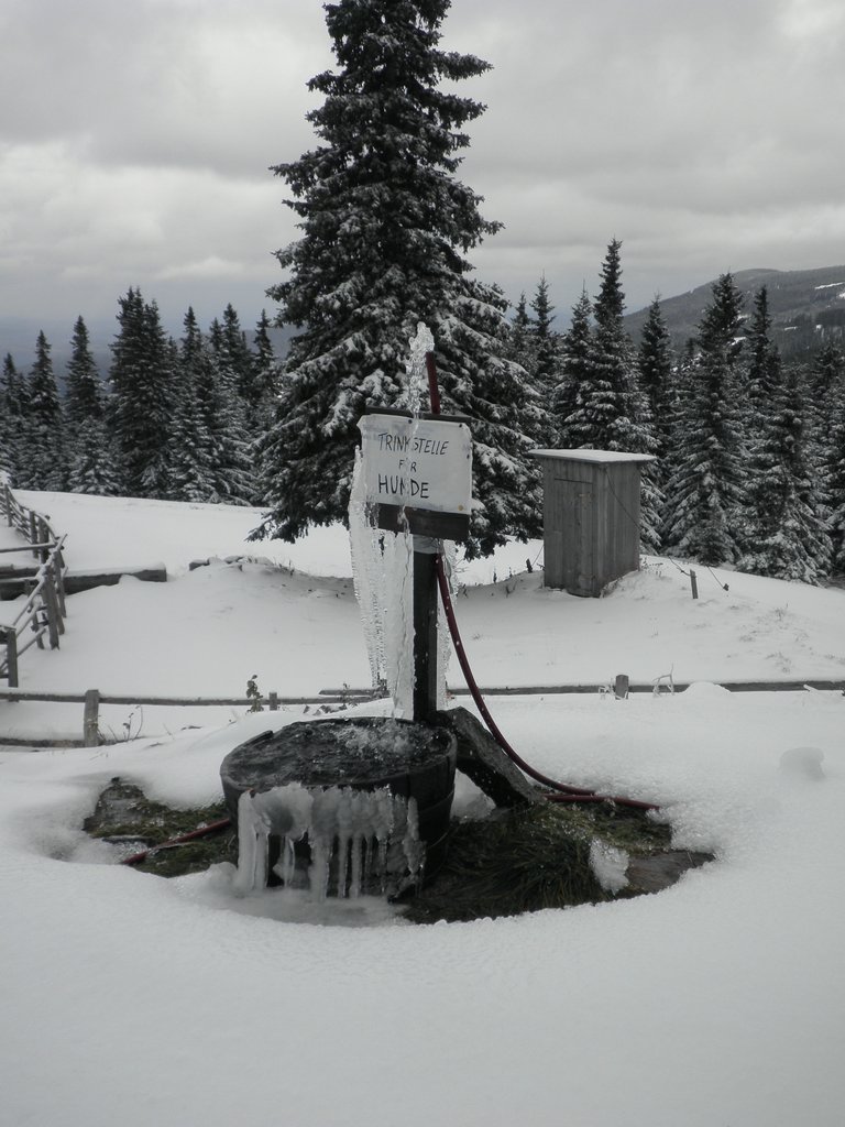 PA260144.JPG