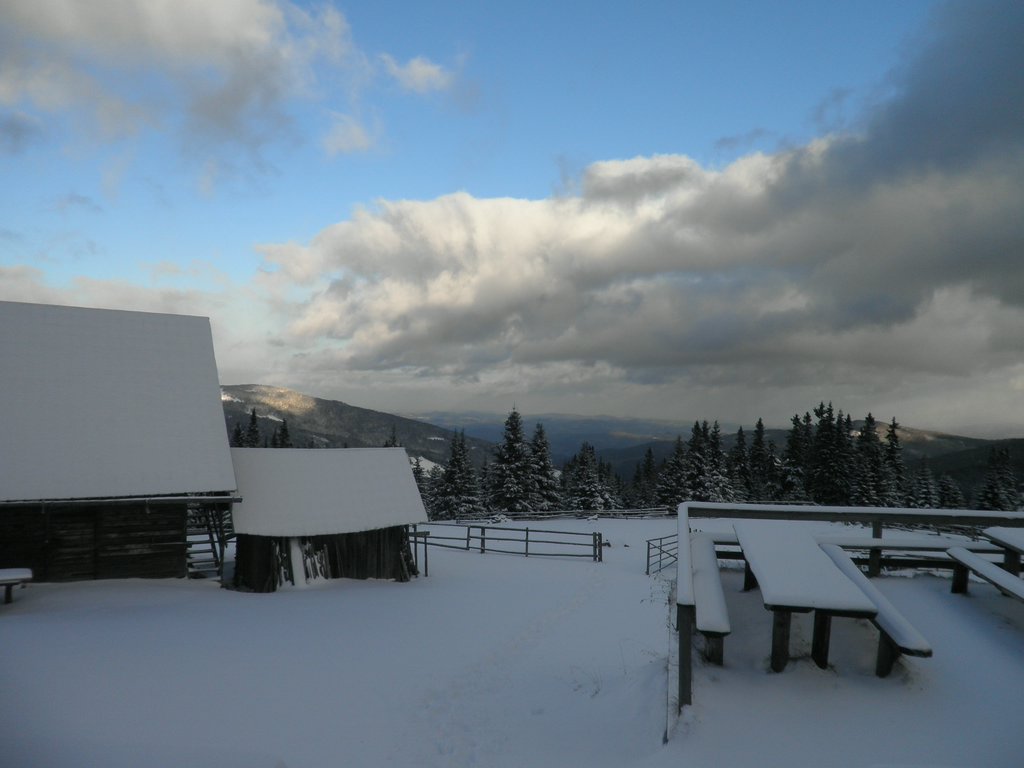 PA260158.JPG