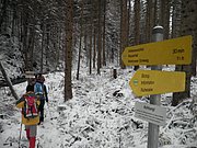 PA260054.JPG