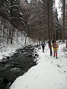 PA260056.JPG