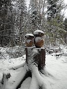 PA260057.JPG