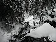 PA260079.JPG