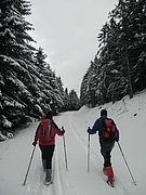 PA260090.JPG