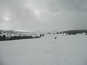 PA260098.JPG